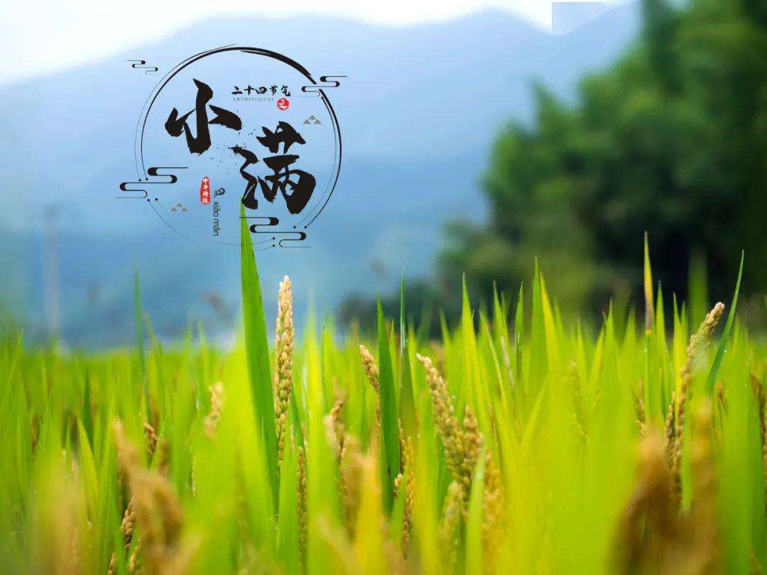 上?？婆d儀器